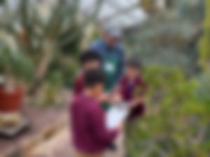Grade 2 3